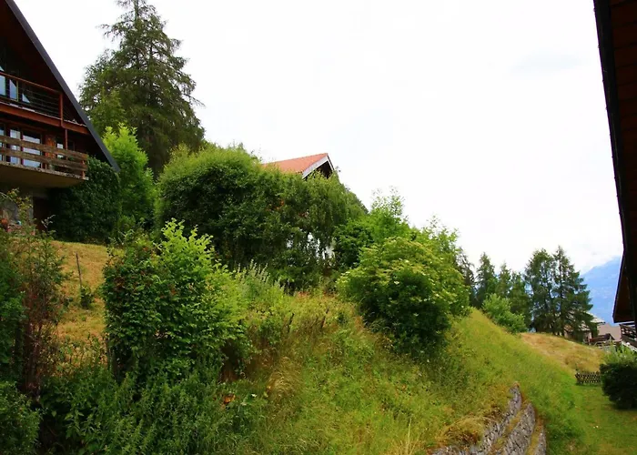 In With Mountain Views